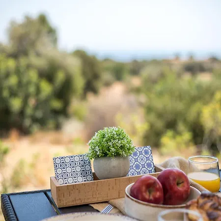 Hillside Near Faliraki * עיר רודוס