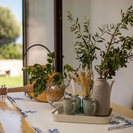 Hillside Near Faliraki Rhodes City